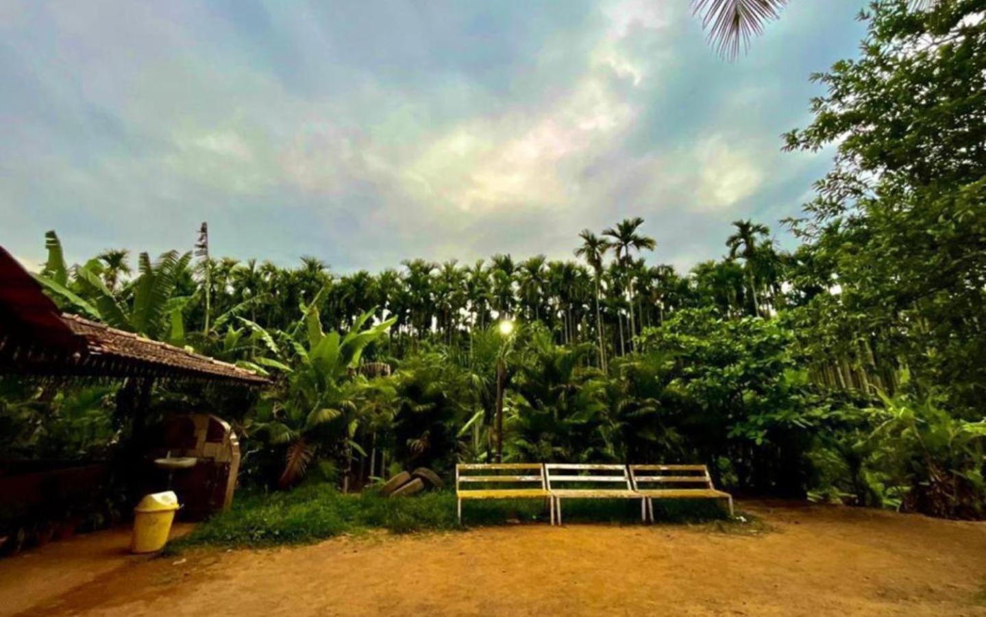 Pepper Paradise By Stayapart Dandeli Exteriér fotografie